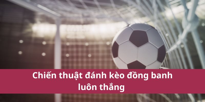 Kinh Nghiệm Soi Kèo Đồng Banh Giúp Tăng Tỷ Lệ Thắng Cược 4 Chiến thuật đánh kèo đồng banh luôn thắng